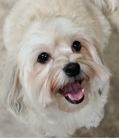 Lucy